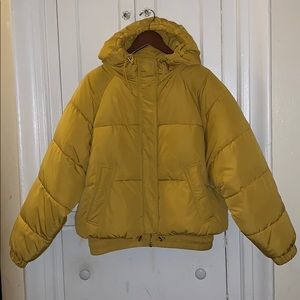 Yellow Cropped Puffer